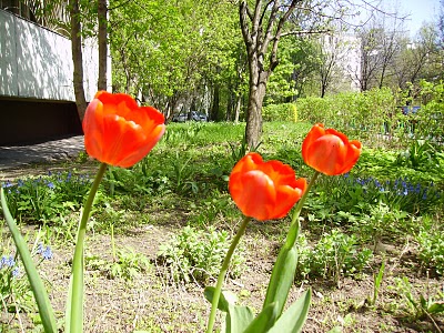 PICT0590