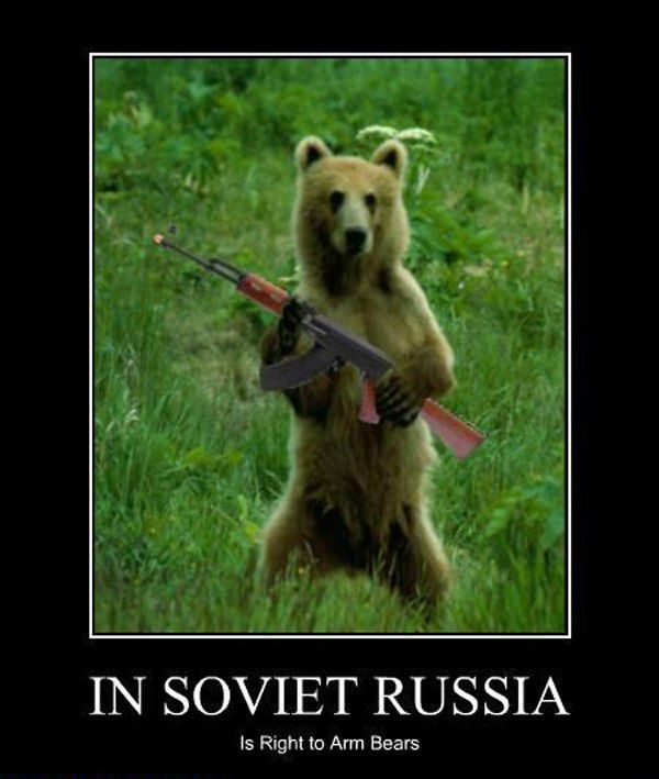 bear-s-lives-matter-and-or-the-russians-did-it-windows-to-russia