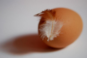 unwashed-egg