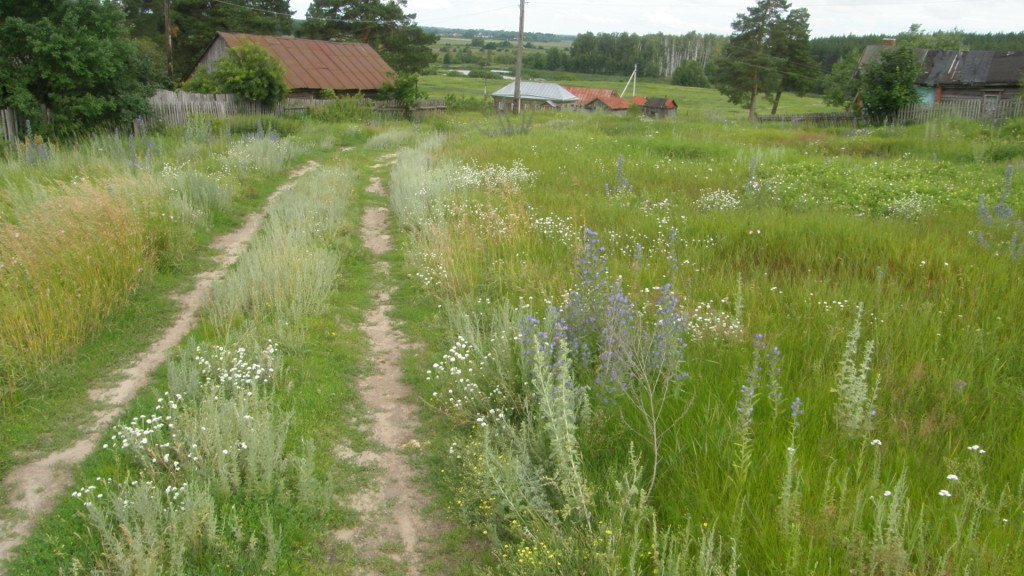 Our Roads are flowers...