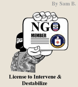 ngo-licence